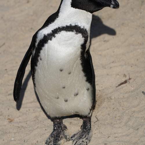 Photo #12022500