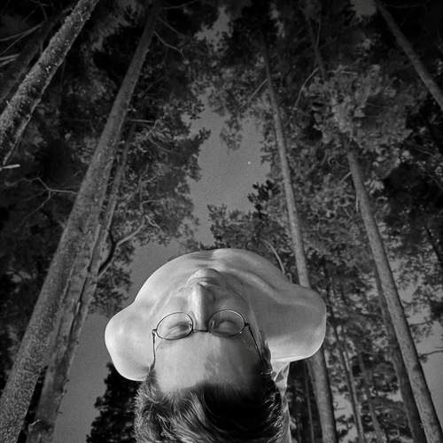 Photo #12022516