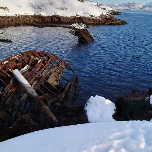 Photo #12022520