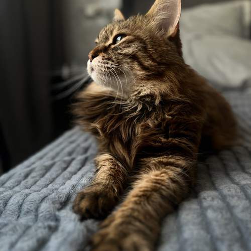 Photo #12022563