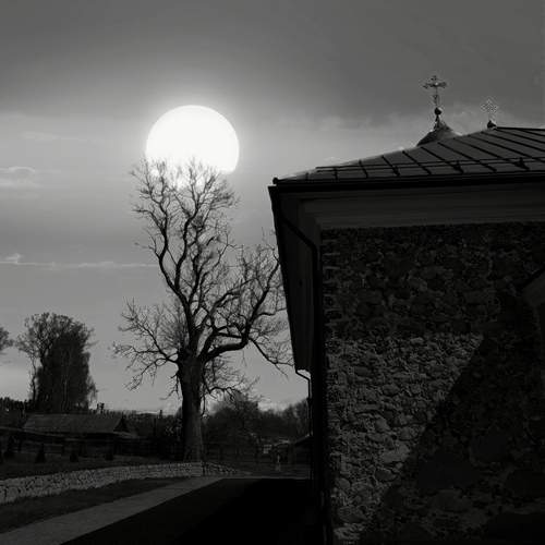 Photo #12022584