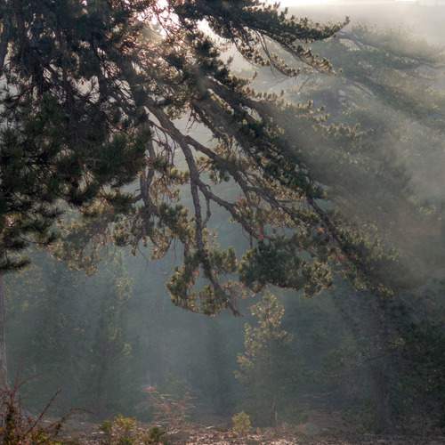 Photo #12022733