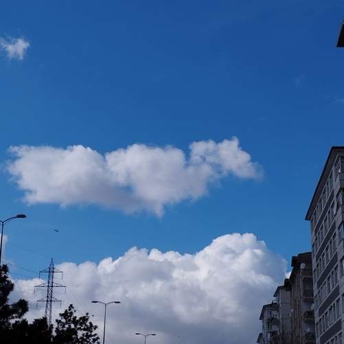 Photo #12022813
