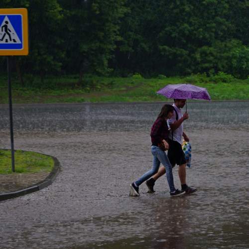 Photo #12022838