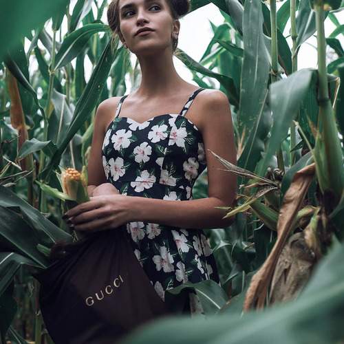 Photo #12022967