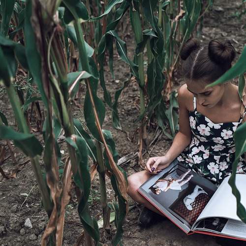 Photo #12022968