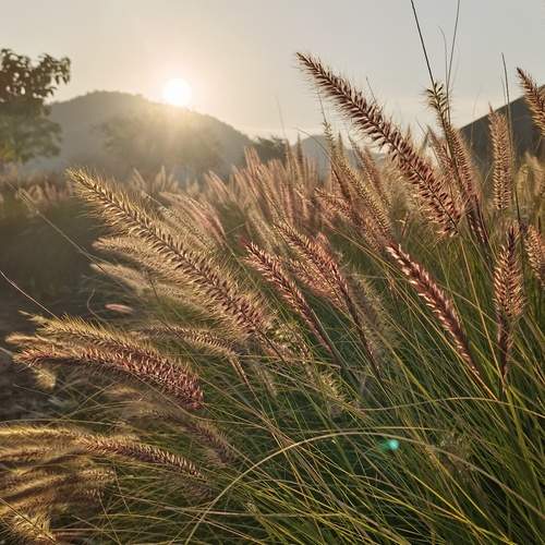 Photo #12023025