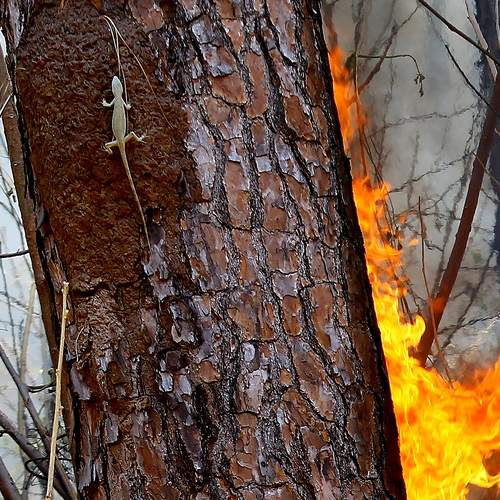 Photo #12023205