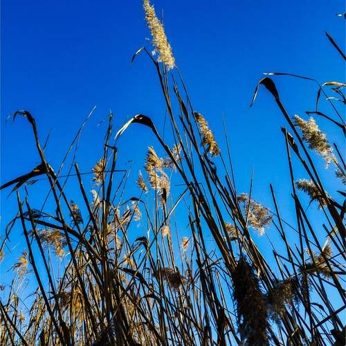 Photo #12023440