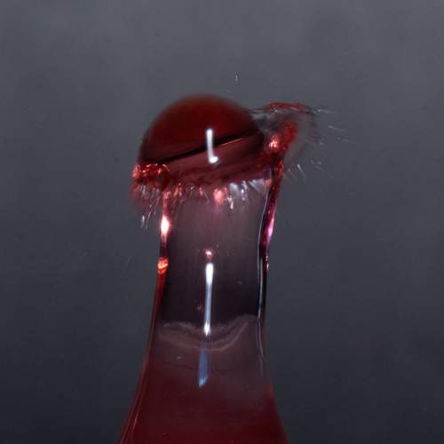 Photo #12023443