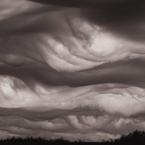 Photo #12023471
