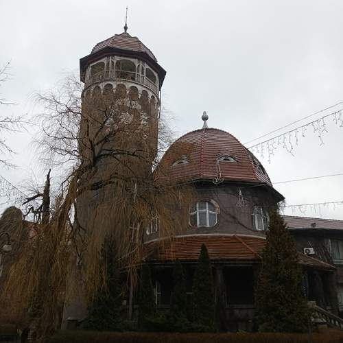 Photo #12023506