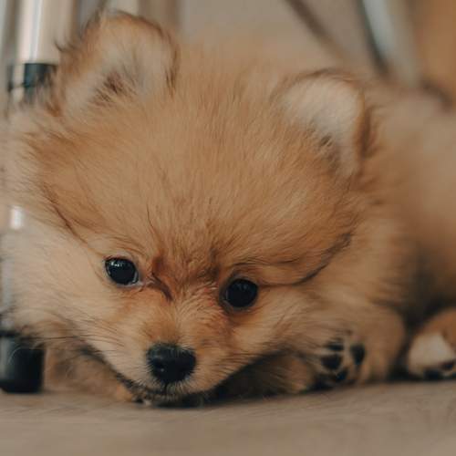 Photo #12023640
