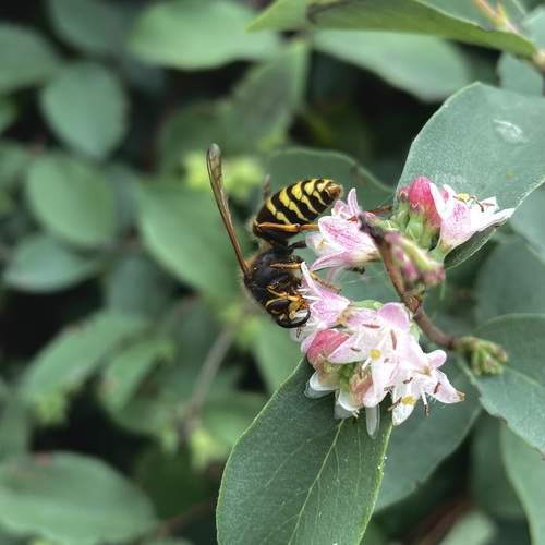 Photo #12023736