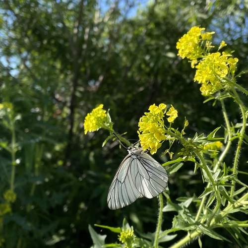 Photo #12023737