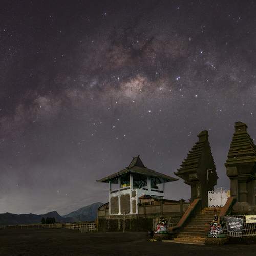 Photo #12024020