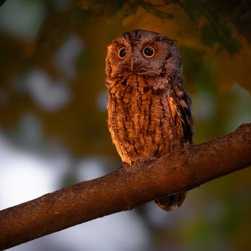 Photo #12024023