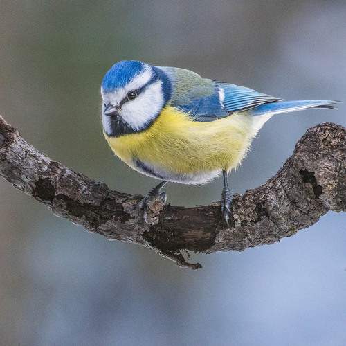 Photo #12024117