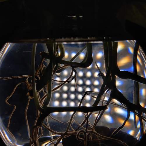 Photo #12024168