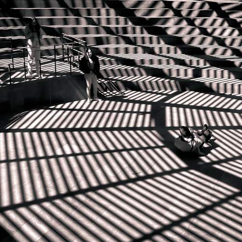 Entre las sombras
