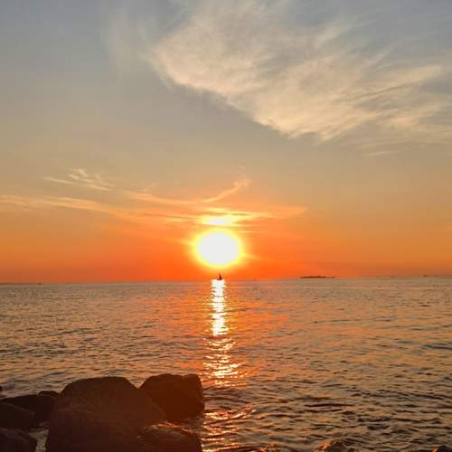 Photo #12024442