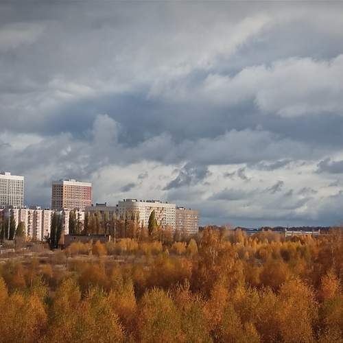 Photo #12024471