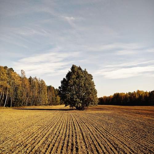 Photo #12024613