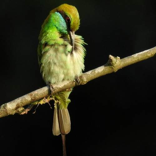 Photo #12024649