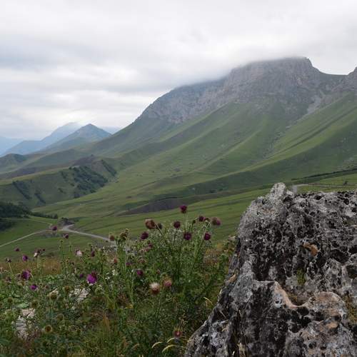 Photo #12024702