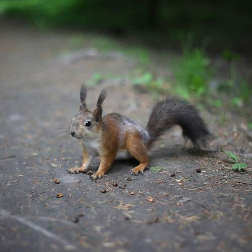 Photo #12024902