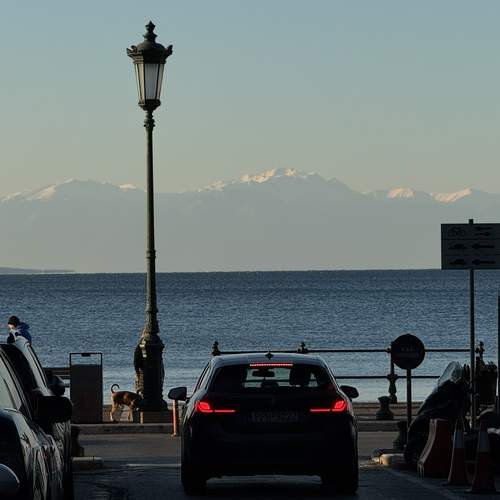 Photo #12024911