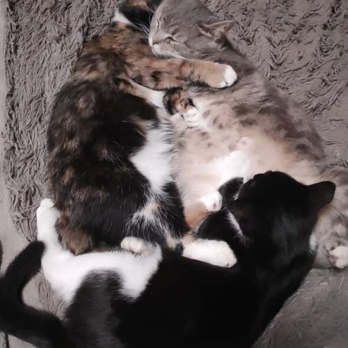 Photo #12025107