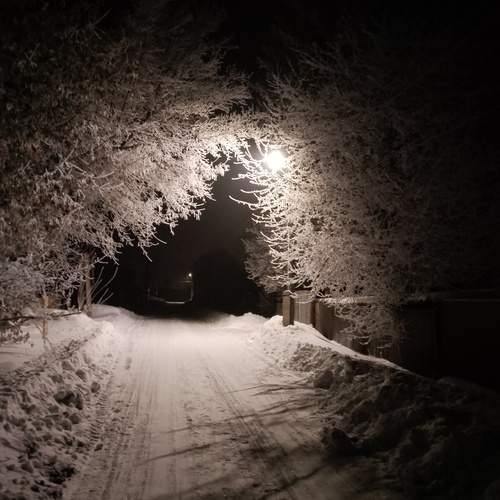 Photo #12025117