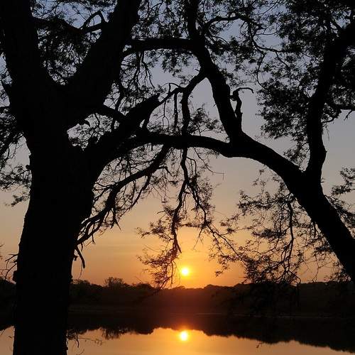Photo #12025226
