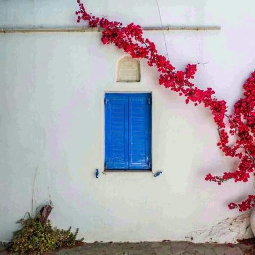 Photo #12025227