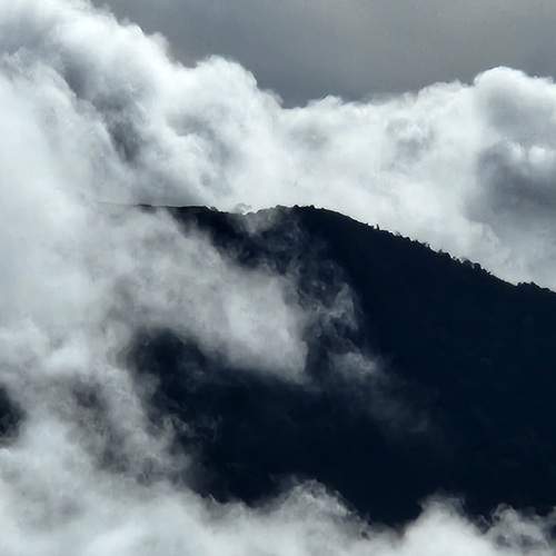 Photo #12025230