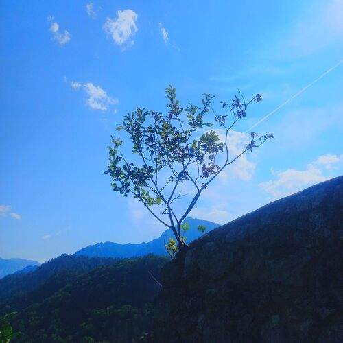 Photo #12025284