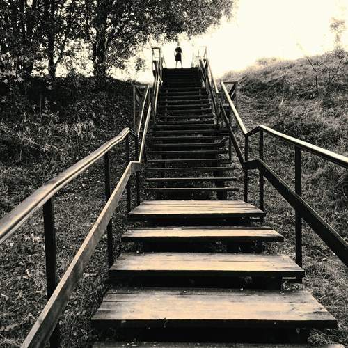 Photo #12025320
