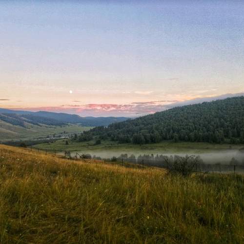 Photo #12025331