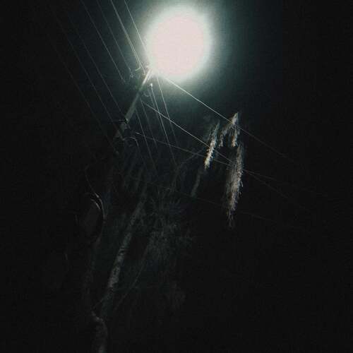 Photo #12025480