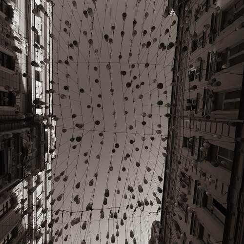 Photo #12025509
