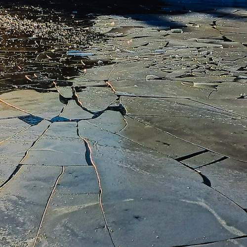Photo #12025529