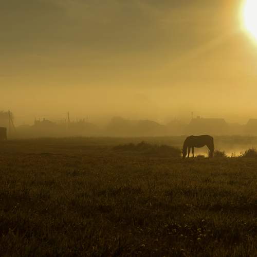 Photo #12025538