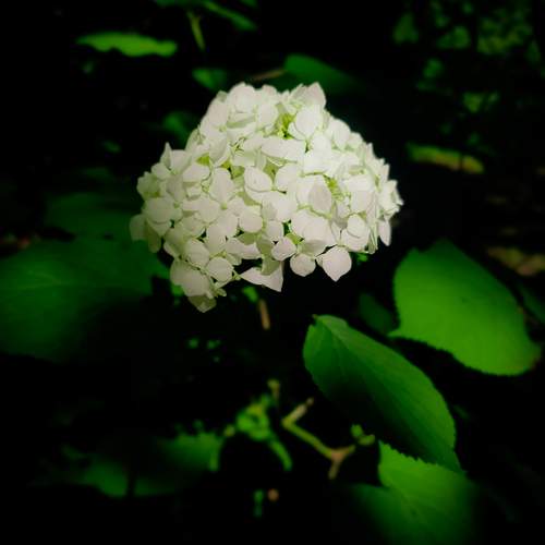Photo #12025662