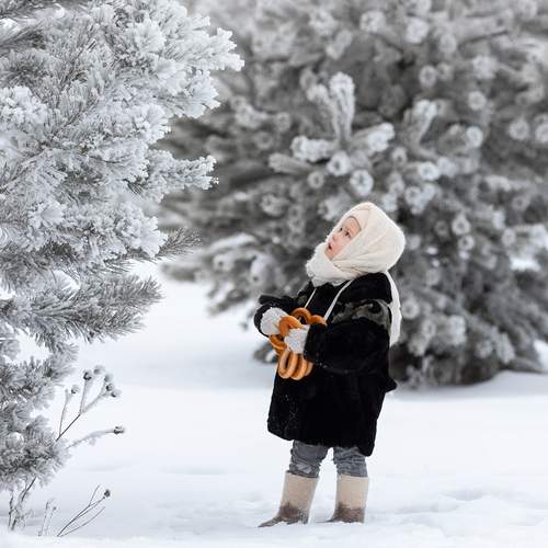 Фотография #12025681