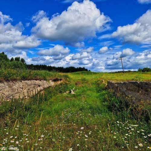 Photo #12025688