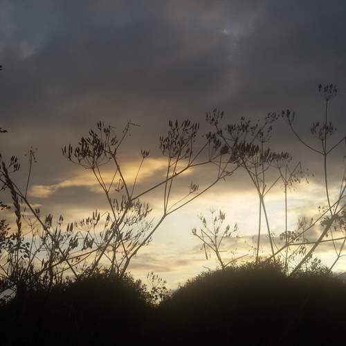 Photo #12025709