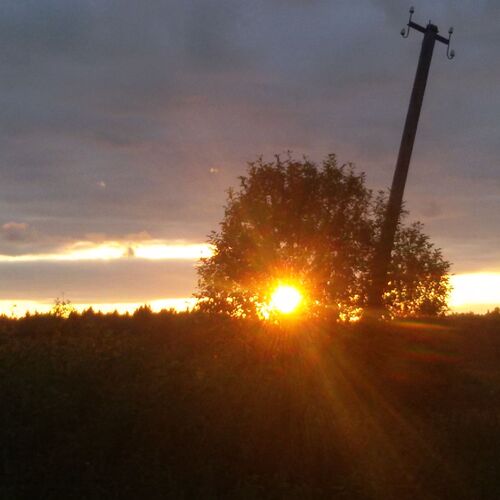 Photo #12025715
