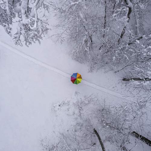 Photo #12025823