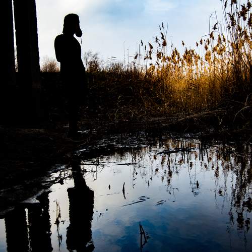 Photo #12025832
